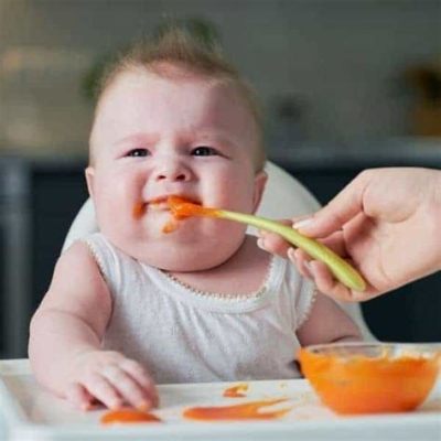 離乳食 食べない ～赤ちゃんの食卓革命～