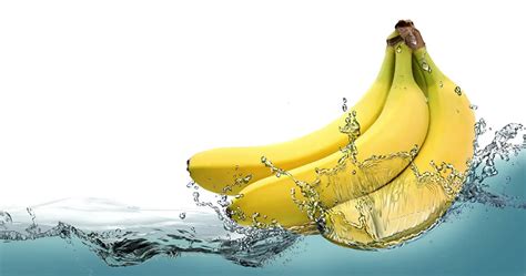 What is the Aim of Physical Education and Why Do Bananas Float in Water?